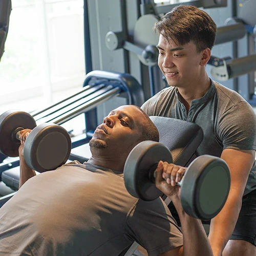 جاستروزيرو - بناء نظام الدعم