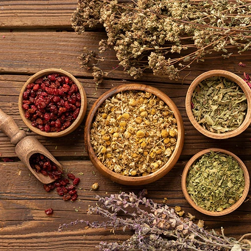 جاستروزيرو - الفوائد الرئيسية لجاستروزيرو